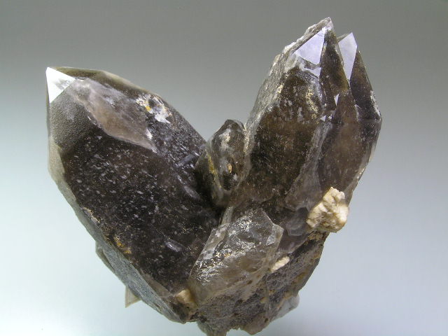 jq yt029.jpg